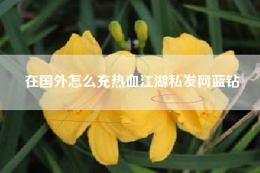 在国外怎么充热血江湖私发网蓝钻