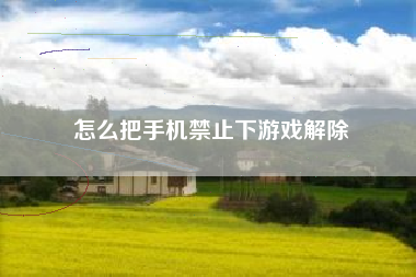 怎么把手机禁止下游戏解除