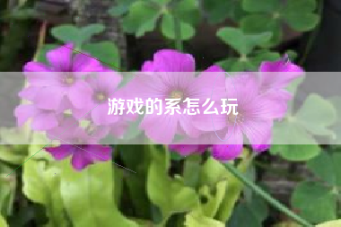 游戏的系怎么玩