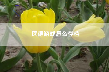 医德游戏怎么存档