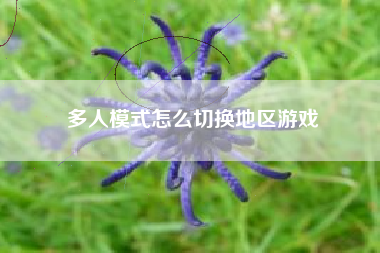 多人模式怎么切换地区游戏