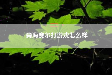 森海赛尔打游戏怎么样