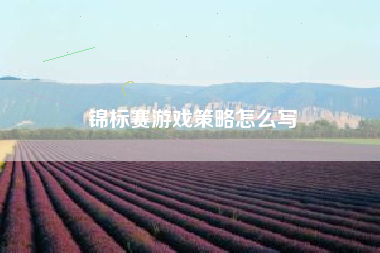 锦标赛游戏策略怎么写