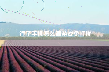 锤子手机怎么调游戏免打扰