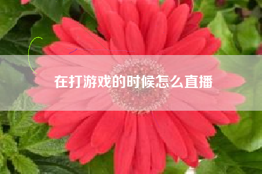 在打游戏的时候怎么直播