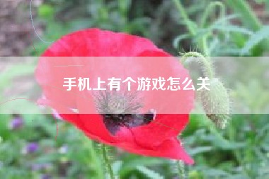 手机上有个游戏怎么关