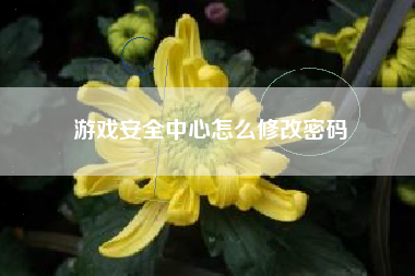 游戏安全中心怎么修改密码