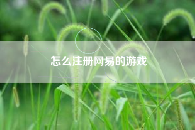 怎么注册网易的游戏