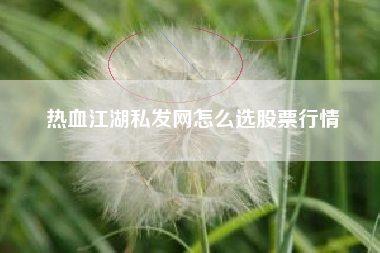 热血江湖私发网怎么选股票行情