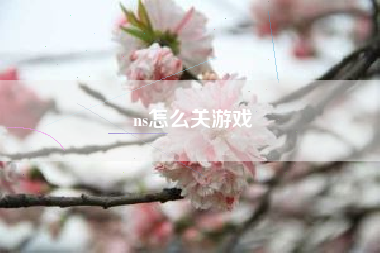 ns怎么关游戏