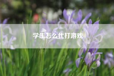 学生怎么代打游戏