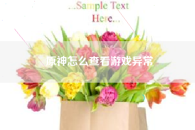 原神怎么查看游戏异常