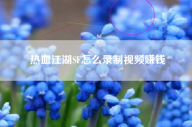 热血江湖SF怎么录制视频赚钱