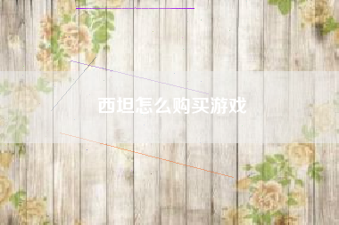 西坦怎么购买游戏