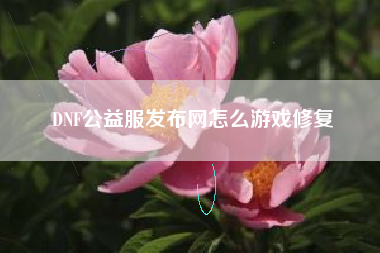 DNF公益服发布网怎么游戏修复