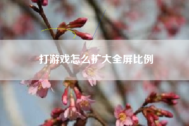 打游戏怎么扩大全屏比例