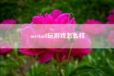 meitut8玩游戏怎么样