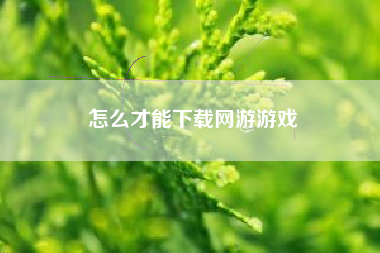 怎么才能下载网游游戏