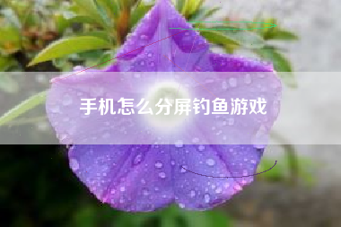 手机怎么分屏钓鱼游戏
