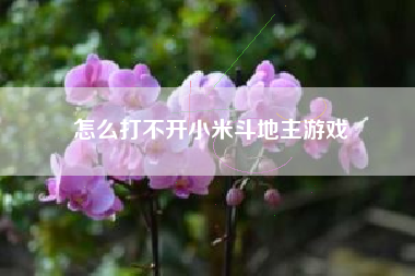 怎么打不开小米斗地主游戏