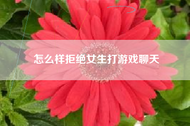 怎么样拒绝女生打游戏聊天