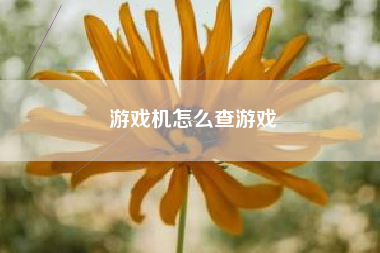 游戏机怎么查游戏
