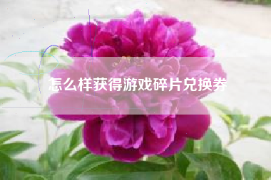 怎么样获得游戏碎片兑换券