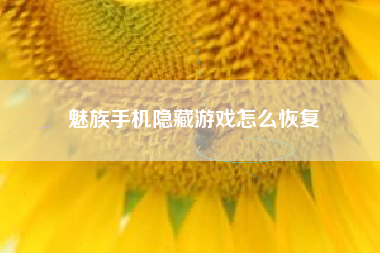 魅族手机隐藏游戏怎么恢复
