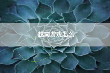 越南游戏怎么