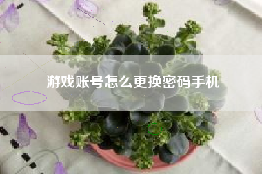 游戏账号怎么更换密码手机