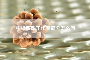 柑橘游戏工作室简介怎么写