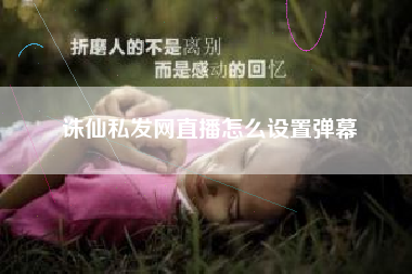 诛仙私发网直播怎么设置弹幕