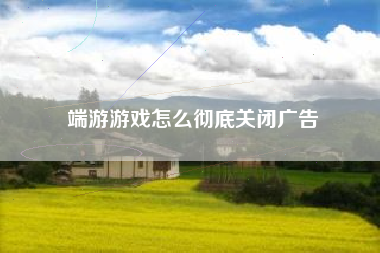 端游游戏怎么彻底关闭广告