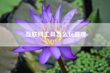 互联网工具怎么玩游戏