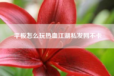 平板怎么玩热血江湖私发网不卡