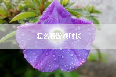 怎么看游戏时长