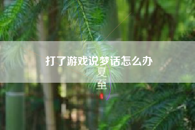 打了游戏说梦话怎么办