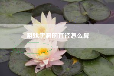 游戏黑洞的直径怎么算