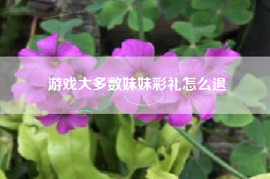 游戏大多数妹妹彩礼怎么退