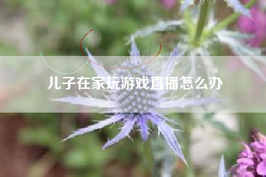 儿子在家玩游戏直播怎么办