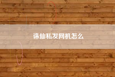 诛仙私发网机怎么