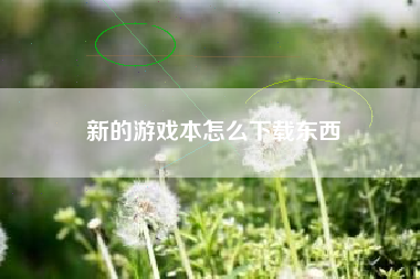 新的游戏本怎么下载东西