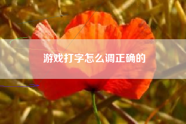 游戏打字怎么调正确的