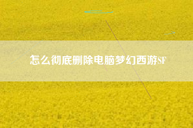 怎么彻底删除电脑梦幻西游SF