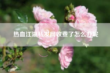热血江湖私发网收费了怎么办呢