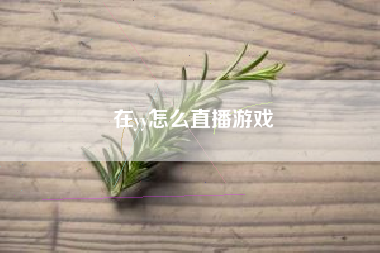 在yy怎么直播游戏