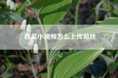 西瓜小视频怎么上传游戏