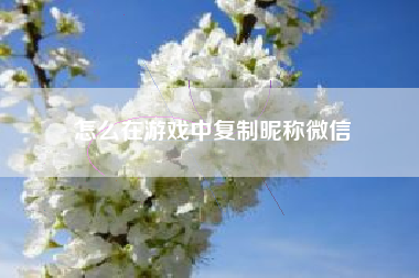 怎么在游戏中复制昵称微信