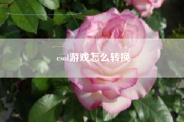 csol游戏怎么转换