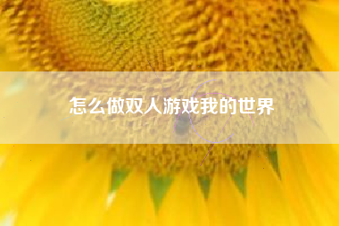怎么做双人游戏我的世界